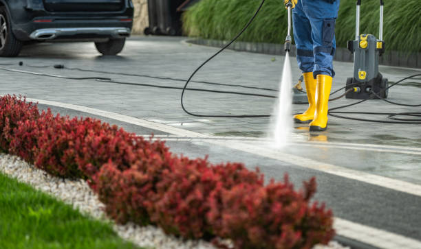 Best Pool Deck Cleaning  in Desnso, CA